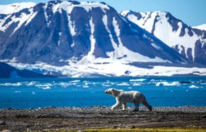 Архипелаг Шпицберген — Свальбард, пример международного устойчивого развития в Арктике.