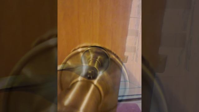 турбаза "ЖЕМЧУЖИНА ЛЕСА"(ВОРОНЕЖ) смотреть онлайн