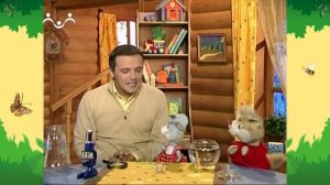 День в Шишкином Лесу. Увеличительные приборы