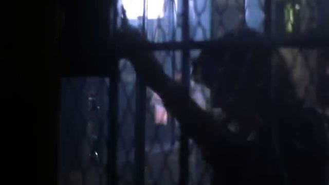 Seduced By A Thief | Full Movie | Sean Young | Rick Peters | Ron Perlman | John Saxon