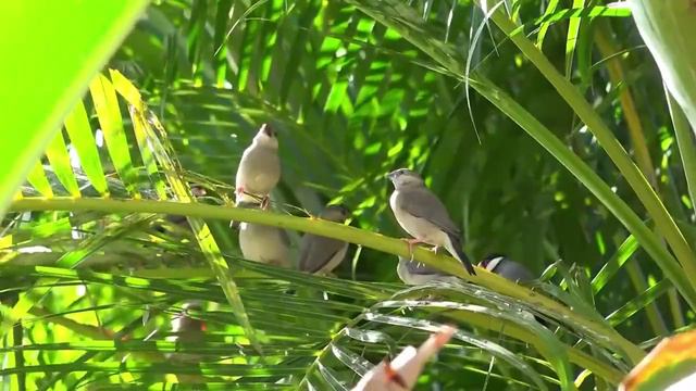 Всем доброго утра и хорошего дня! смотреть онлайн