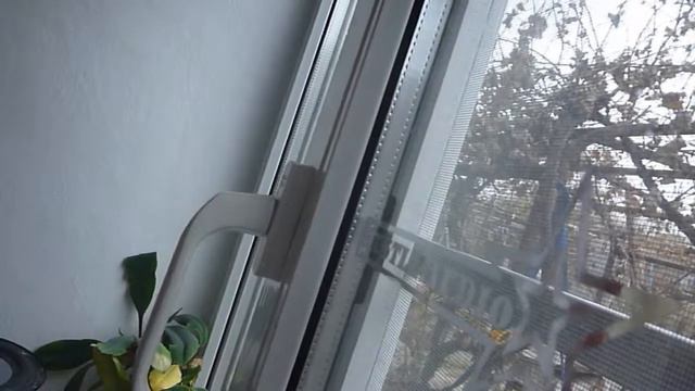 Флекс. ЧВ на 75гдн дома смотреть онлайн