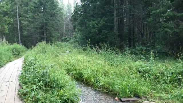 Хребет Зюраткуль. Удивительная красота Урала смотреть онлайн