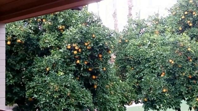 США. Гостиница в городе Туссон, Аризона. смотреть онлайн