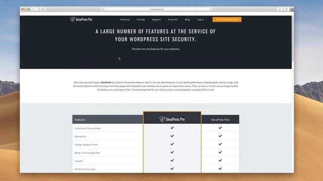WordPress Security Plugins: Free + Pro Plugins for 2020 смотреть онлайн