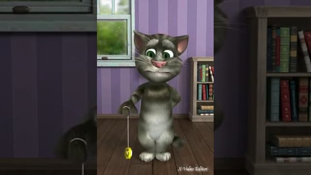 Meu TOM Falante смотреть онлайн