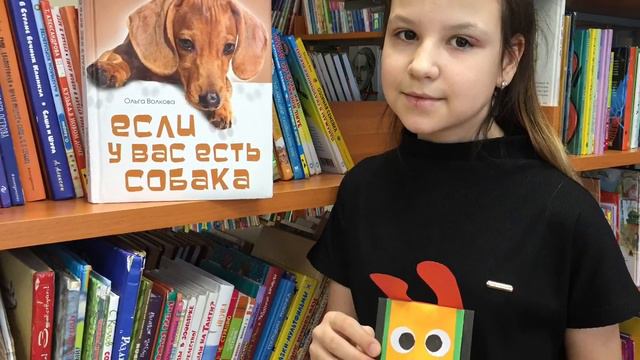 Акция "сНежный пес" смотреть онлайн