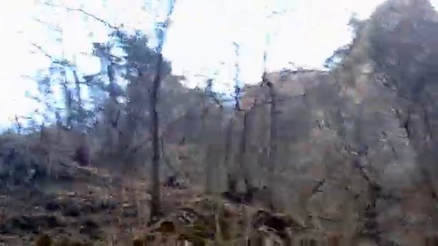 Волчье ущелье смотреть онлайн