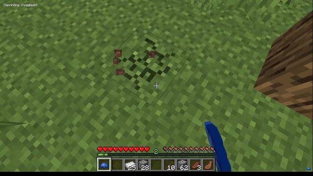When The Bedrock Player Plays Java смотреть онлайн