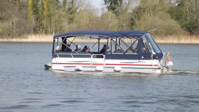 The Primula at Fairhaven Woodland and Water Garden смотреть онлайн