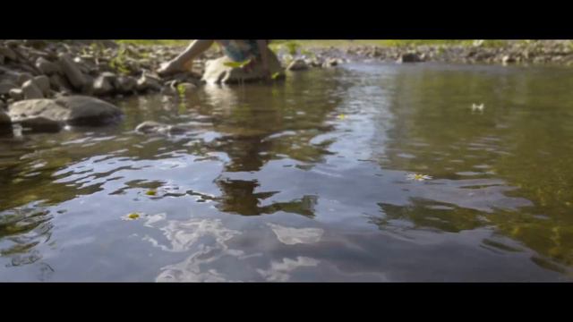 Нафиса Назарова - Бер тауда ун чишмә ( Сибгат Хәким суз., Әгъзам Фәттах көе )