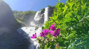 Снова Красная Поляна. Заброшенный бугель.