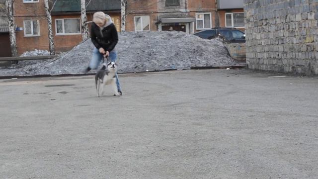 труженник смотреть онлайн