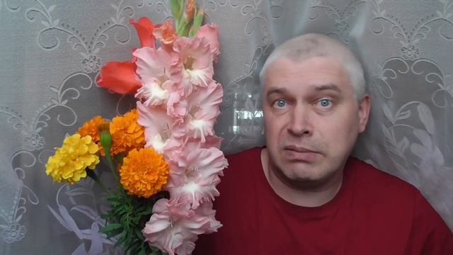 У меня цветы бархатцы и гладиолусы смотреть онлайн