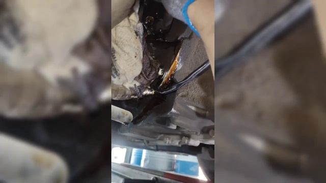 АвтоПодиум