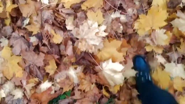Клип : "Одуванчик" Тима Белорусских и я с Алисой😄 смотреть онлайн