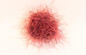 Аквариум. Живой корм для аквариумных рыбок трубочник. Промывка