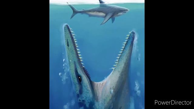 Кто такой Мозазавр? когда жил? какой он?