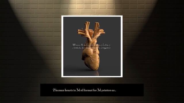 2 human hearts in 3d stl format for 3d printers artcam aspire cut3d - digital download смотреть онлайн
