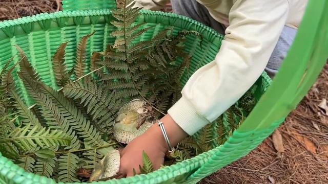 妻子精心打扮出了门，农村老公紧随其后，看她偷偷去见谁【晨晨视野】 смотреть онлайн