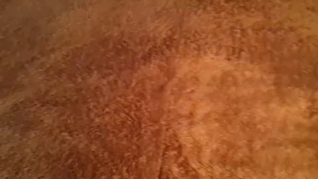 Распаковка LAYS [STRONG] Охотничьи Колбаски. смотреть онлайн