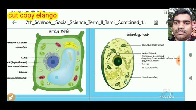 Cell biology in Tamil | 7 th science new Book |cut copy elango смотреть онлайн