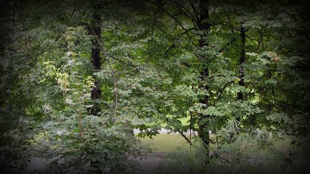 4 seasons смотреть онлайн