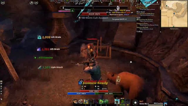 ESO Warden Morrowind смотреть онлайн