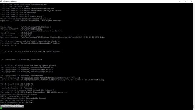 How To Install Oracle Database Patch RU 19.15.0.0.220419 April 2022 On Oracle 19c смотреть онлайн