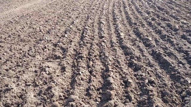 Результат пахоты двухкорпусным плугом производства РБ на минитракторе Shtenli T-180 Premium Lux смотреть онлайн