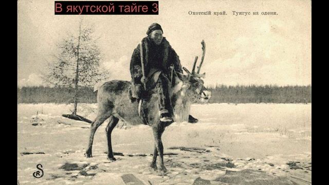 В Якутской тайге 3 смотреть онлайн