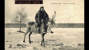 В Якутской тайге 3