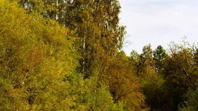 Шелопугино смотреть онлайн