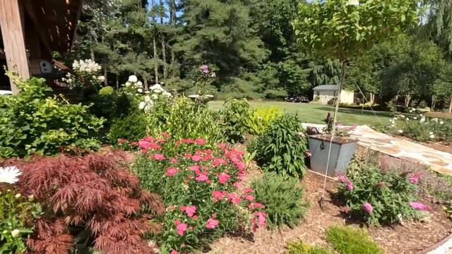 Garden Tour Of A Viewer's Gorgeous Garden | Gardening With Creekside