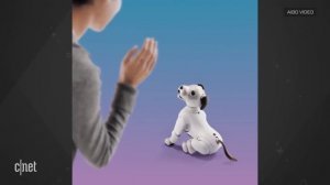 Sony Aibo робот-собака  возвращается с искусственным интеллектом!