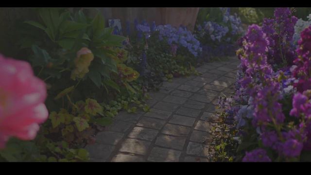 ガーデニング｜夏の宿根草をお手入れ｜扱いやすいグランドカバーとカラーリーフをご紹介、シェードガーデンにも｜花のクッキー作り｜暮らしのvlog