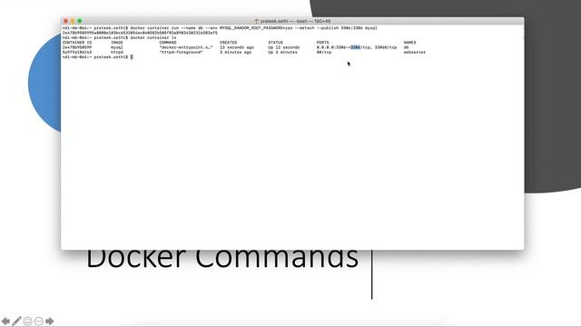 Lecture4| Docker Container Commands Part2 |Docker Selenium смотреть онлайн