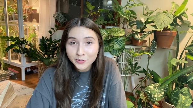 My Biggest Plant Haul Ever! смотреть онлайн