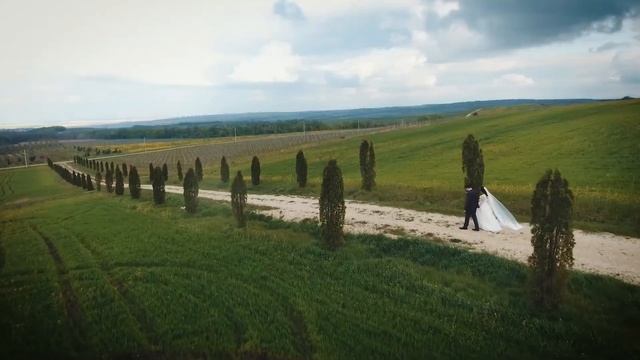 Весенняя Свадьба Крымск Андрей и Даша, Видеосъемка, Видеограф, Аэросъемка