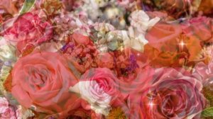 С днем рождения, Ксения!  Музыкальное поздравление