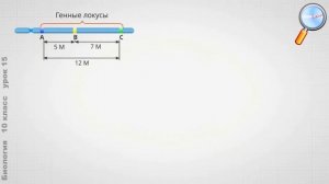 Биология 10 класс (Урок№15 - Сцепленное наследование генов.)