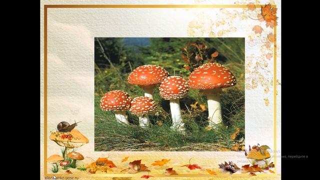 грибное лукошко смотреть онлайн