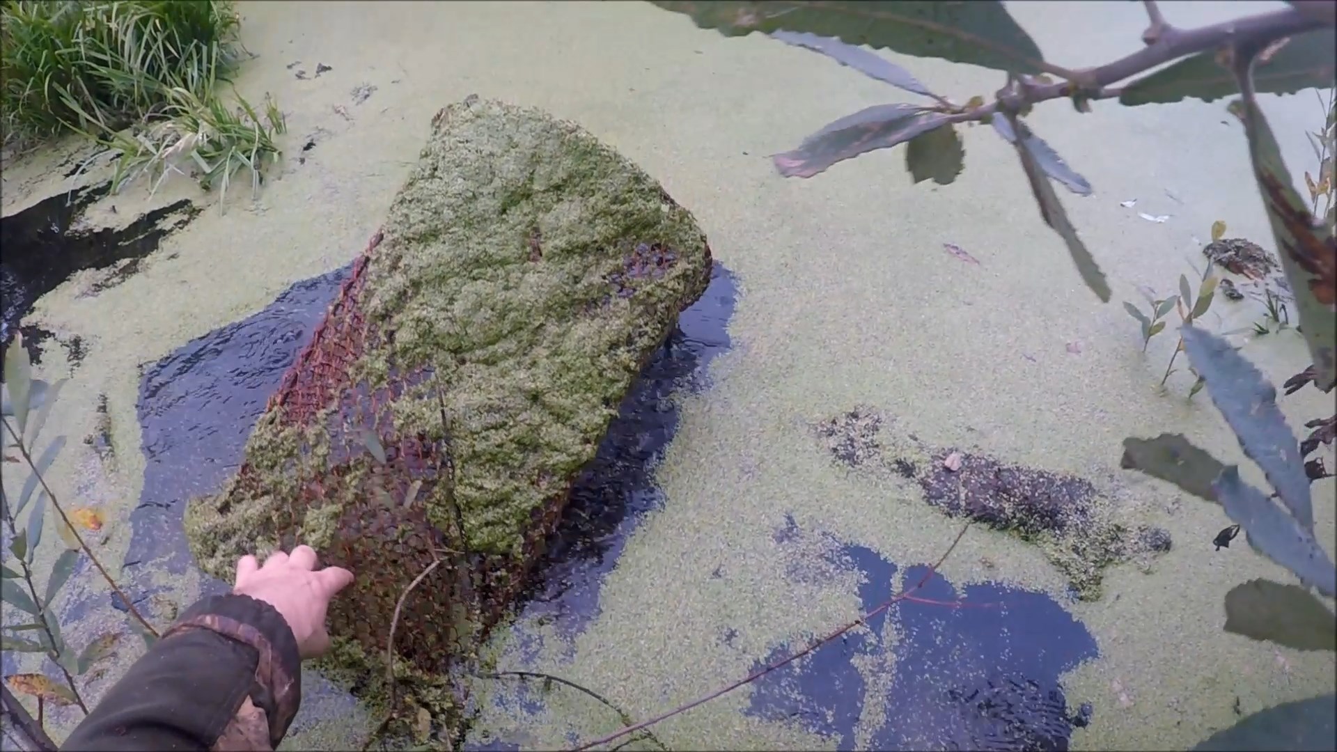 Охота на ондатру (Будни охотника и рыбака) смотреть онлайн