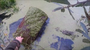 Охота на ондатру (Будни охотника и рыбака)