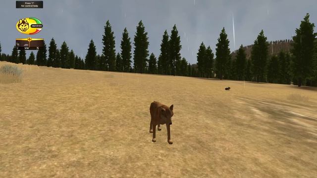 Wolf Quest Part 1 - I'm Not Boss смотреть онлайн