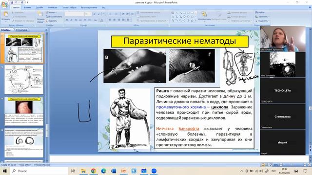 Вся зоология за 15 часов (часть 1 беспозвоночные)