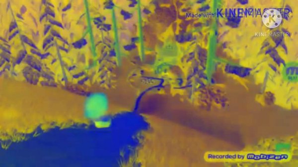 Masha Csupo 2001 in G Major 2