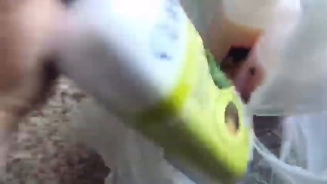 VLOG: Заказ Avon январь 2020 год смотреть онлайн