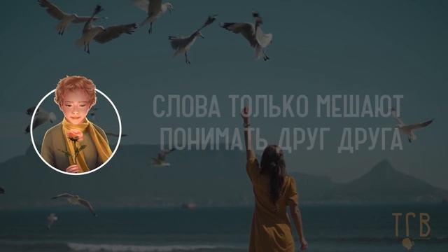 Маленький Принц лучшие цитаты. Мудрые мысли из Великой сказки. ТАК ГОВОРИЛИ ВЕЛИКИЕ. Мы в ответе за смотреть онлайн