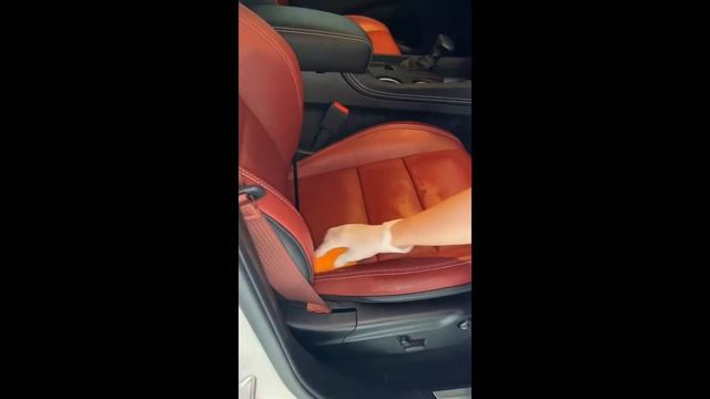 Applying Carpro CQUARTZ Leather Coat on Laguna Leather Seats смотреть онлайн